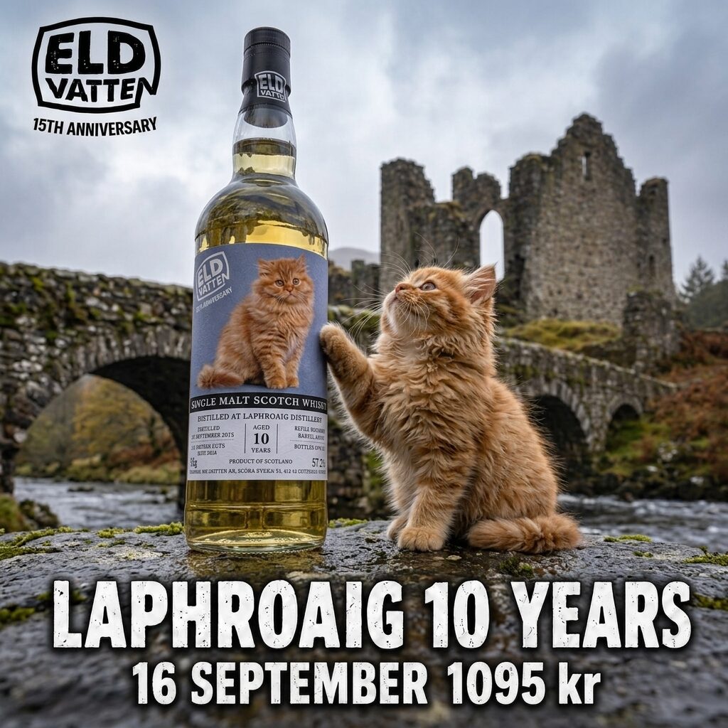 Laphroaig 10 years med kattunge i Skottland